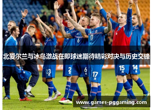 北爱尔兰与冰岛激战在即球迷期待精彩对决与历史交锋