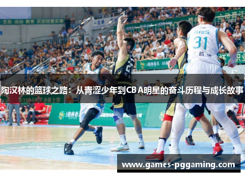 陶汉林的篮球之路：从青涩少年到CBA明星的奋斗历程与成长故事